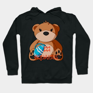 Aquarius Teddy Bear Hoodie